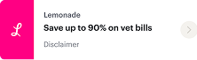A Lemonade ad states 